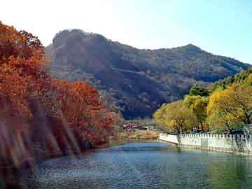 新澳门二四六天天彩，婆媳论坛